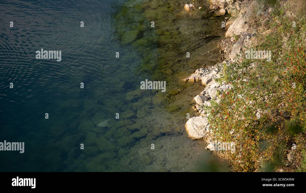 Acqua trasparente da una costa rocciosa con pietre visibili sotto la superficie e piante selvatiche che crescono lungo il bordo. Composizione naturale calma con luce solare Foto Stock