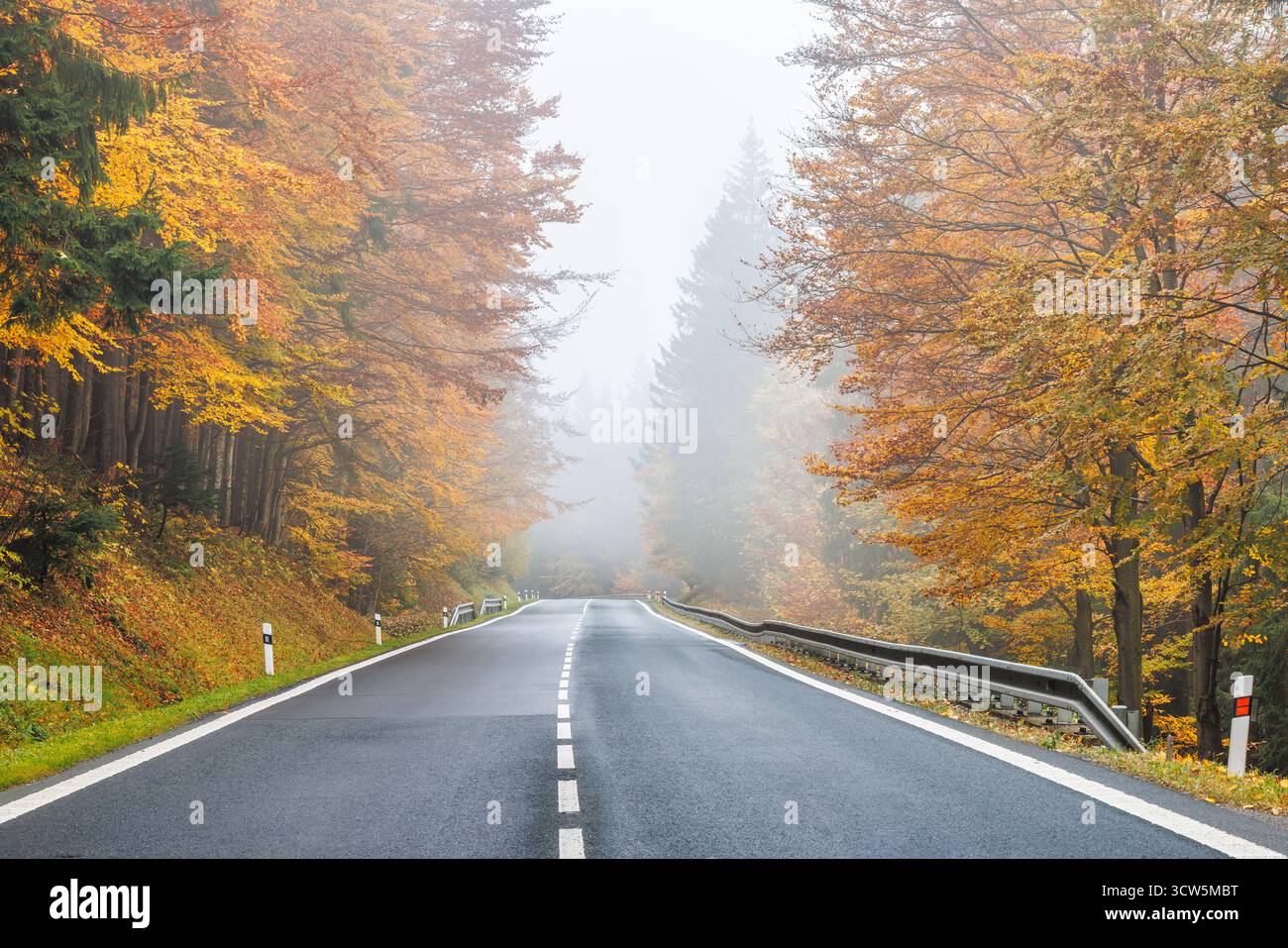 Le tonalità dorate dell'autunno fanno da cornice a una strada tranquilla che invita a viaggiare in paesaggi nebbiosi. Prova il sereno abbraccio della stagione. Foto Stock