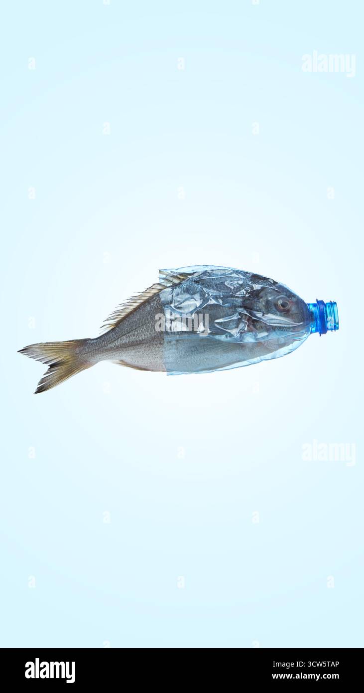 Corpo del pesce Unito a una bottiglia di plastica che simboleggia l'inquinamento marino Foto Stock