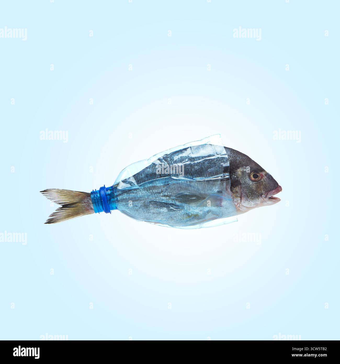 Pesce racchiuso in bottiglia di plastica trasparente concetto di inquinamento oceanico Foto Stock