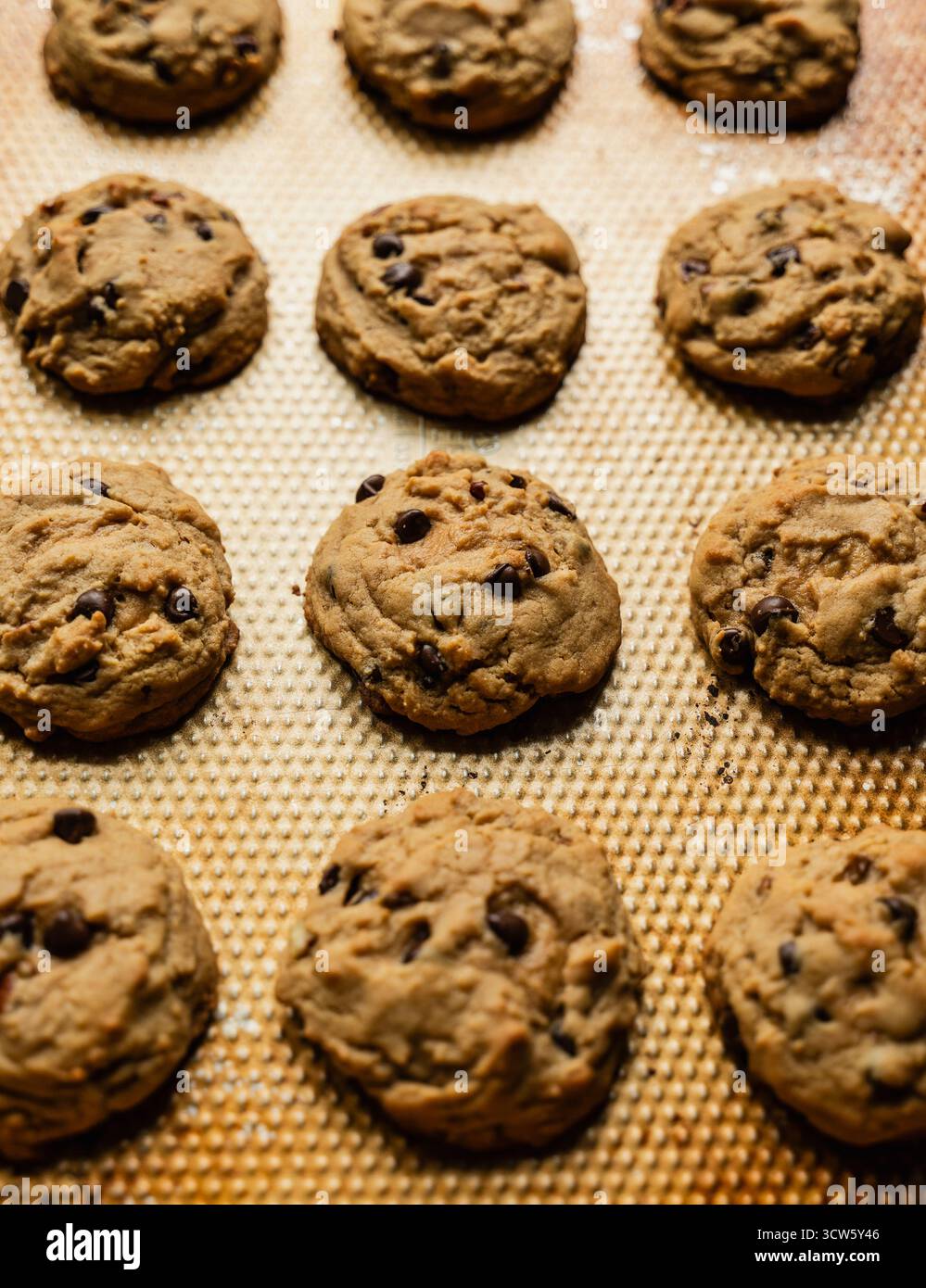 Primo piano ad angolo alto di una teglia di biscotti con scaglie di cioccolato appena sfornati. Foto Stock