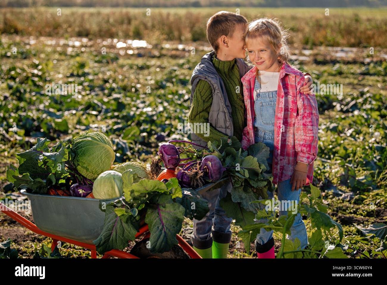 I gemelli interagiscono con una carriola di verdure fresche in un campo. Foto Stock
