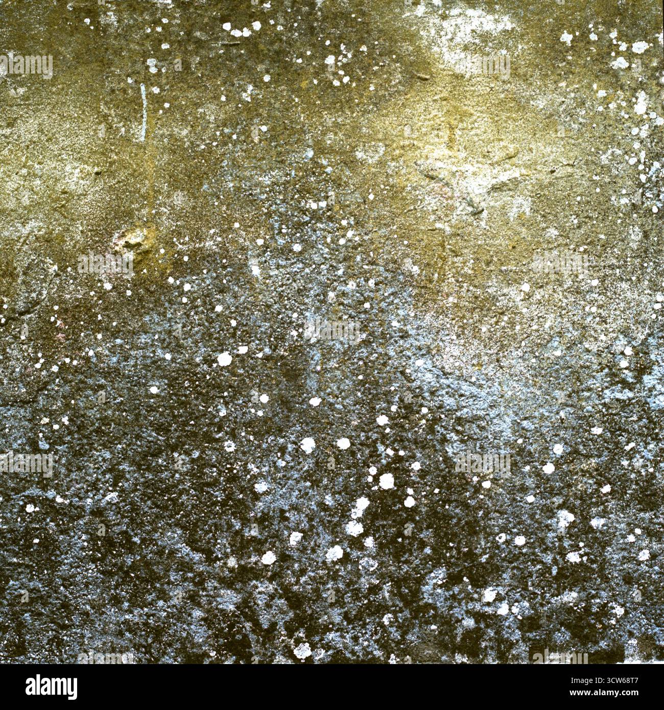 Struttura astratta di un vecchio muro giallo-verde con piccole macchie bianche. Fotografia a colori su pellicola di formato medio. Dettagli della superficie della facciata obsoleti. Foto Stock