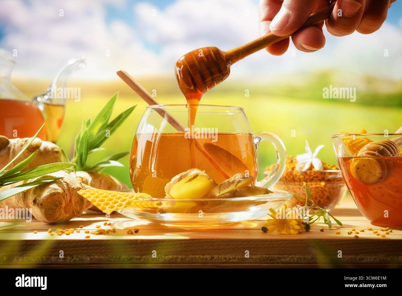 Preparare un infuso naturale a mano, versare il miele in una tazza con zenzero e prodotti biologici e un fondo naturale. Vista frontale. Foto Stock