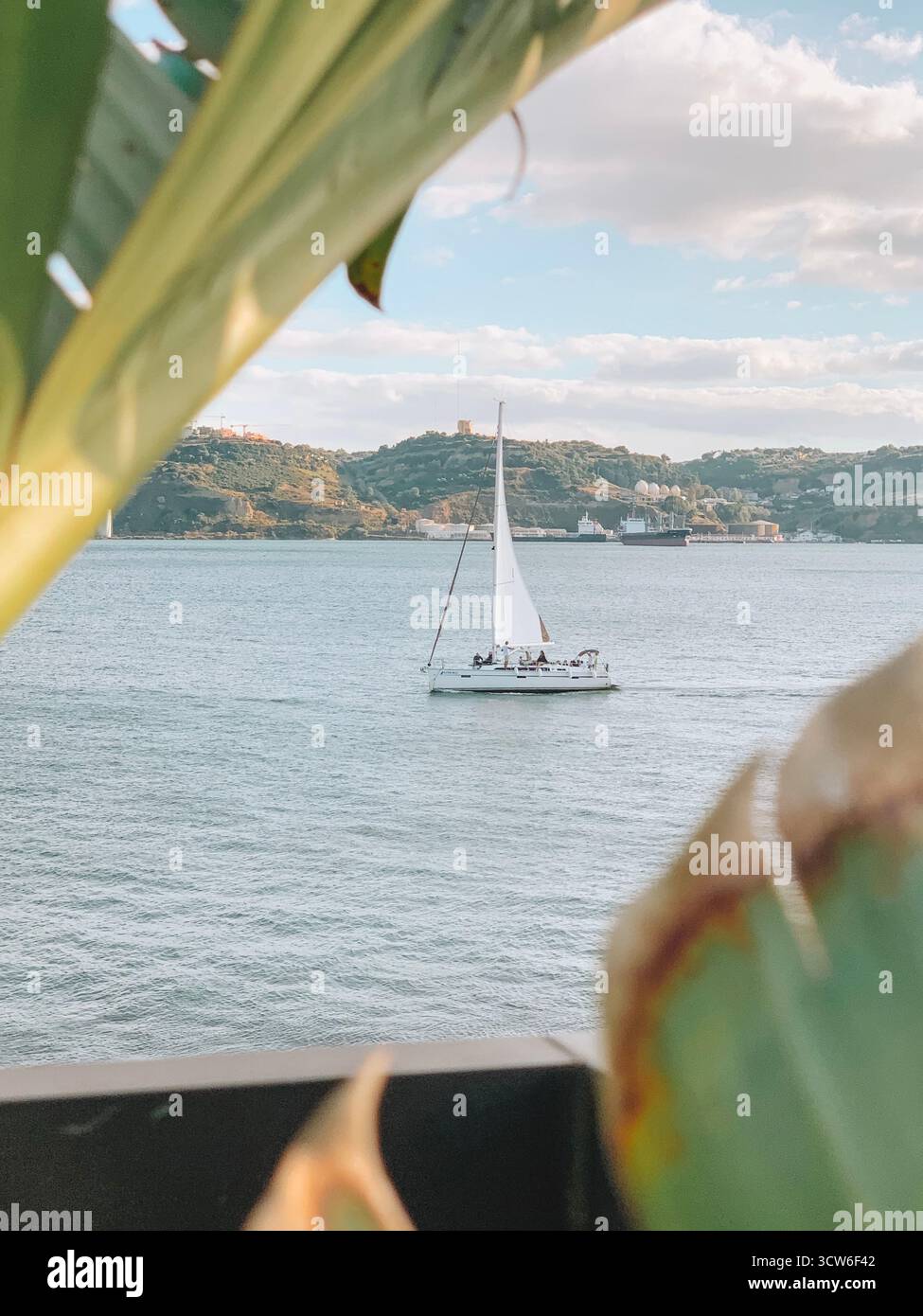 Barca a vela tradizionale che galleggia sulle calme acque blu del Portogallo - Immagine stock catturata con smartphone