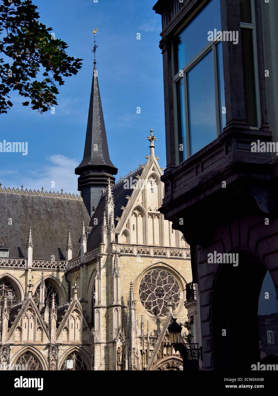 Guglia gotica della chiesa incorniciata da dettagli urbani - Vista a basso angolo di una guglia gotica della chiesa e della linea del tetto a Bruxelles, Belgio, incorniciata da foglie di albero e un alto Foto Stock