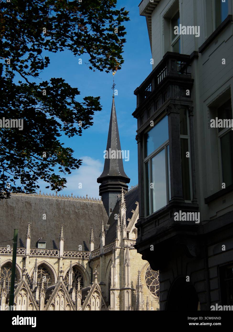 Guglia gotica della chiesa incorniciata da dettagli urbani - Vista a basso angolo di una guglia gotica della chiesa e della linea del tetto a Bruxelles, Belgio, incorniciata da foglie di albero e un alto Foto Stock