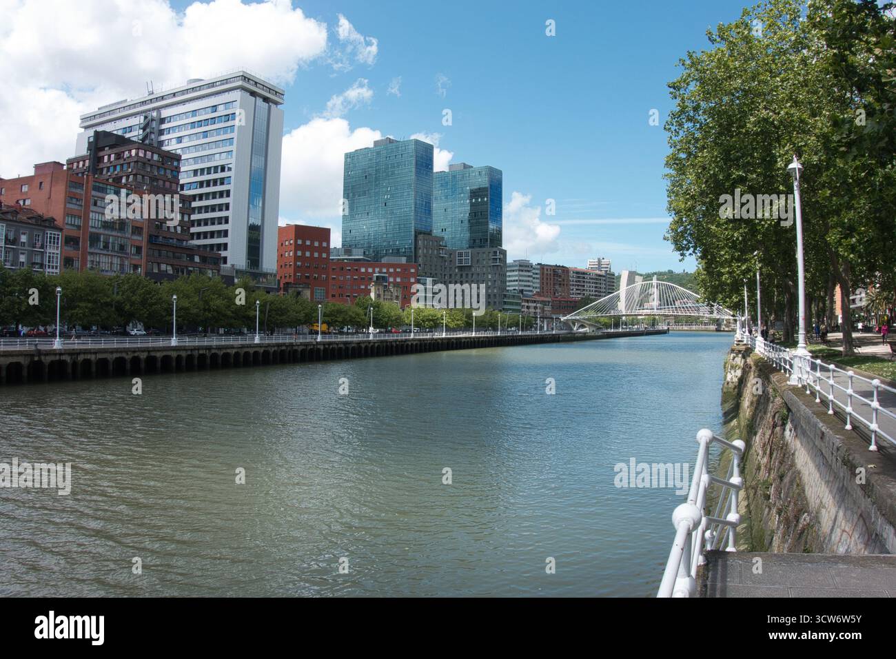 Panorama di Bilbao lungo il fiume Nervión e Zubizuri - lo skyline di Bilbao con le moderne torri Isozaki e il ponte Zubizuri, visto dalla sc Foto Stock