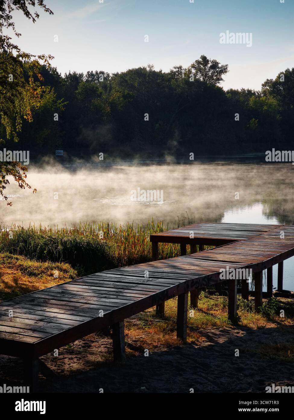 Molo di legno sul lago forestale la mattina d'autunno. Scena autunnale mattutina con densa nebbia sull'acqua e sagome scure di alberi sullo sfondo Foto Stock