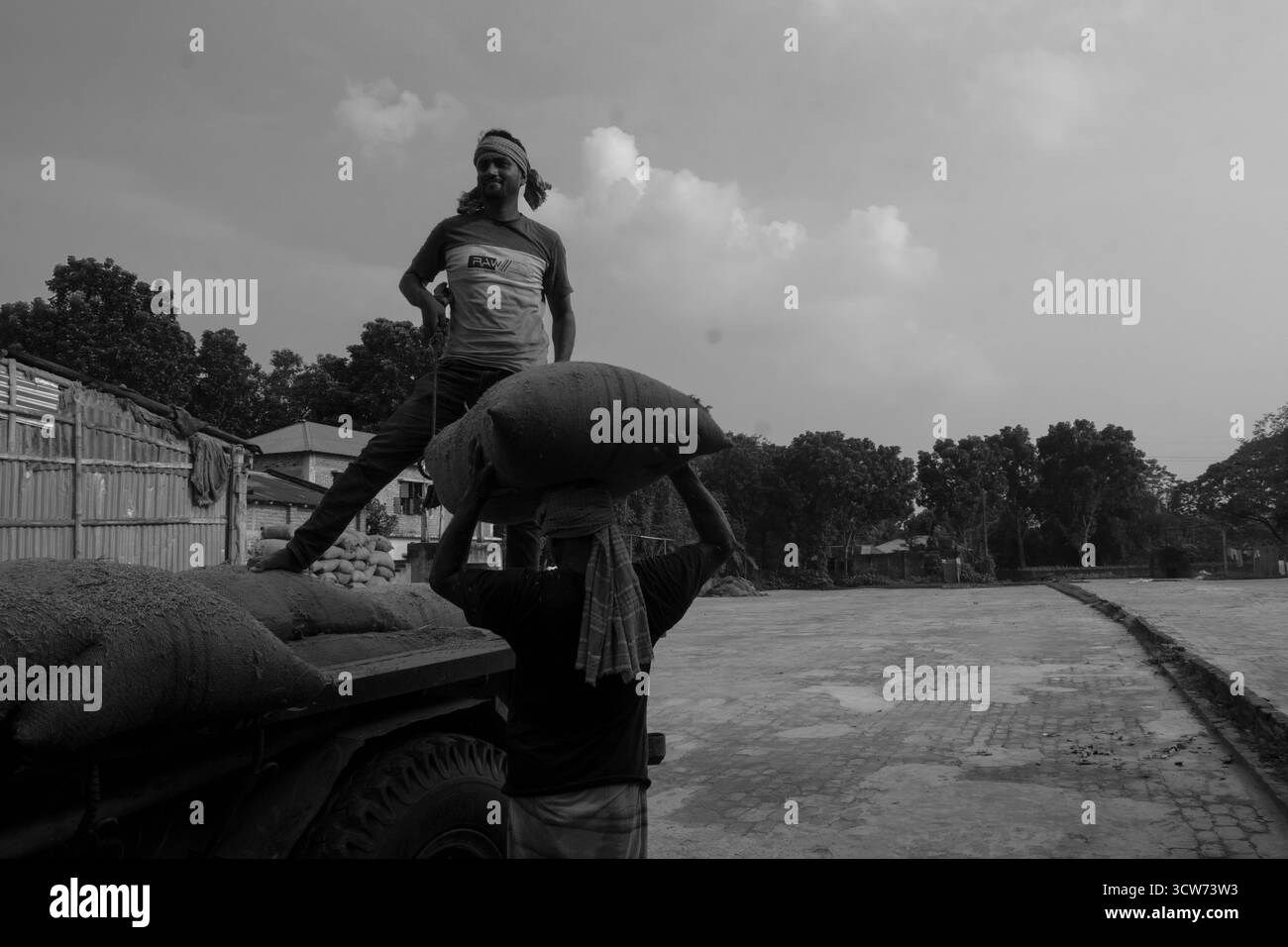 Agricoltore che coltiva terreni con timone elettrico Foto Stock