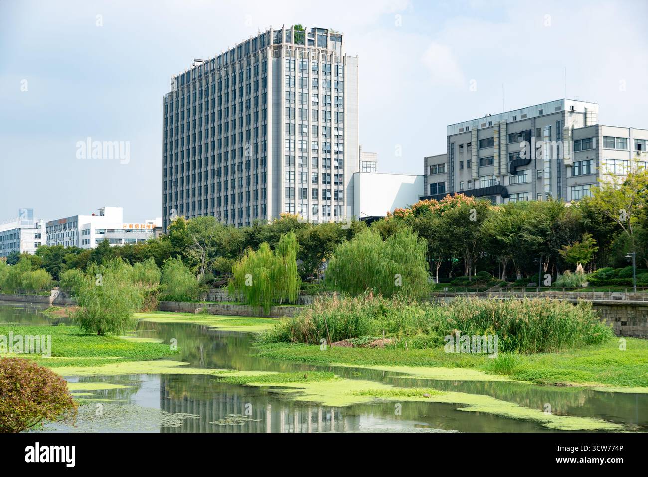 L'ambiente ecologico delle città e dei fiumi Foto Stock