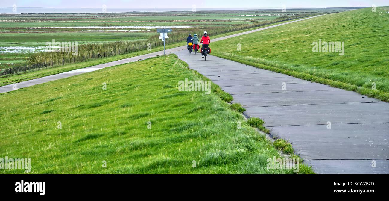 Persone che pedalano lungo un sentiero lastricato su una diga verde che si affaccia sulle paludi piane e sull'area del mare settentrionale in germania Foto Stock
