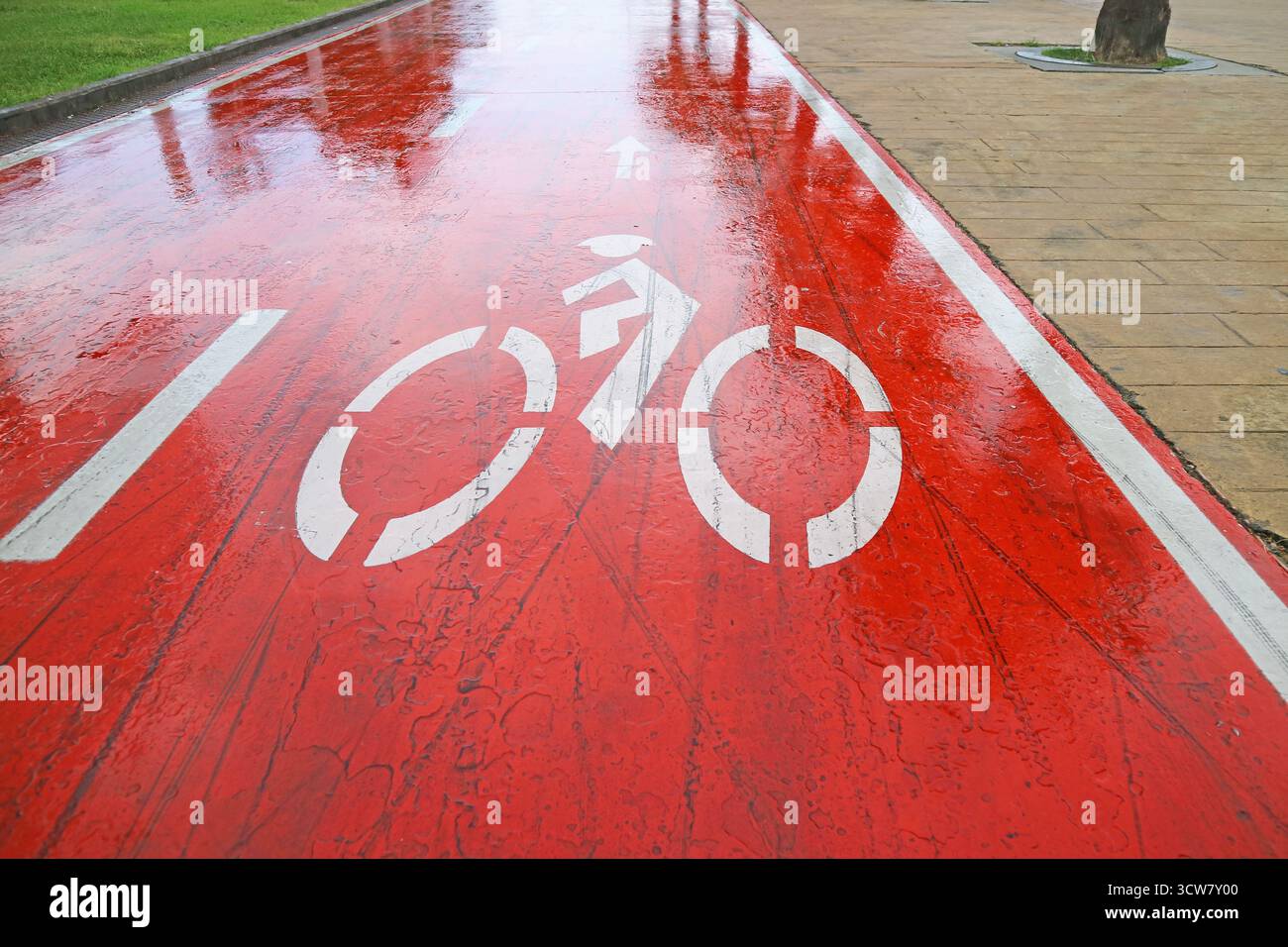 Vuota la vivace pista ciclabile rossa nel parco dopo la pioggia Foto Stock