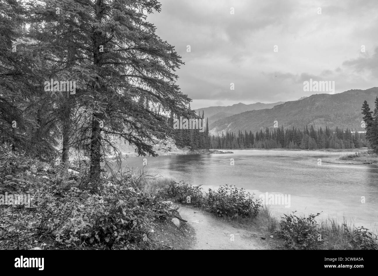 Il ferro di cavallo Lago Trail, Parco Nazionale di Denali, Alaska, STATI UNITI D'AMERICA Foto Stock