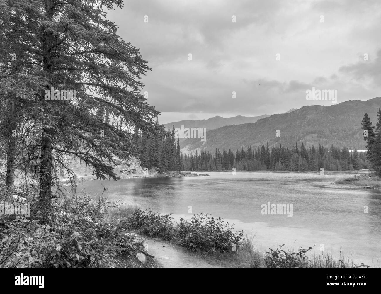 Il ferro di cavallo Lago Trail, Parco Nazionale di Denali, Alaska, STATI UNITI D'AMERICA Foto Stock