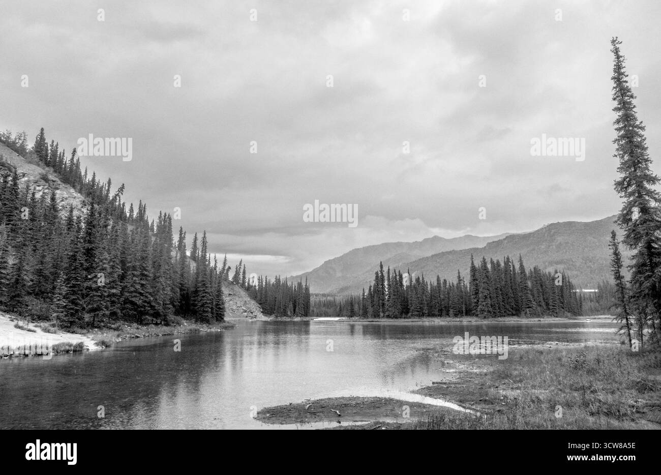 Il ferro di cavallo Lago Trail, Parco Nazionale di Denali, Alaska, STATI UNITI D'AMERICA Foto Stock