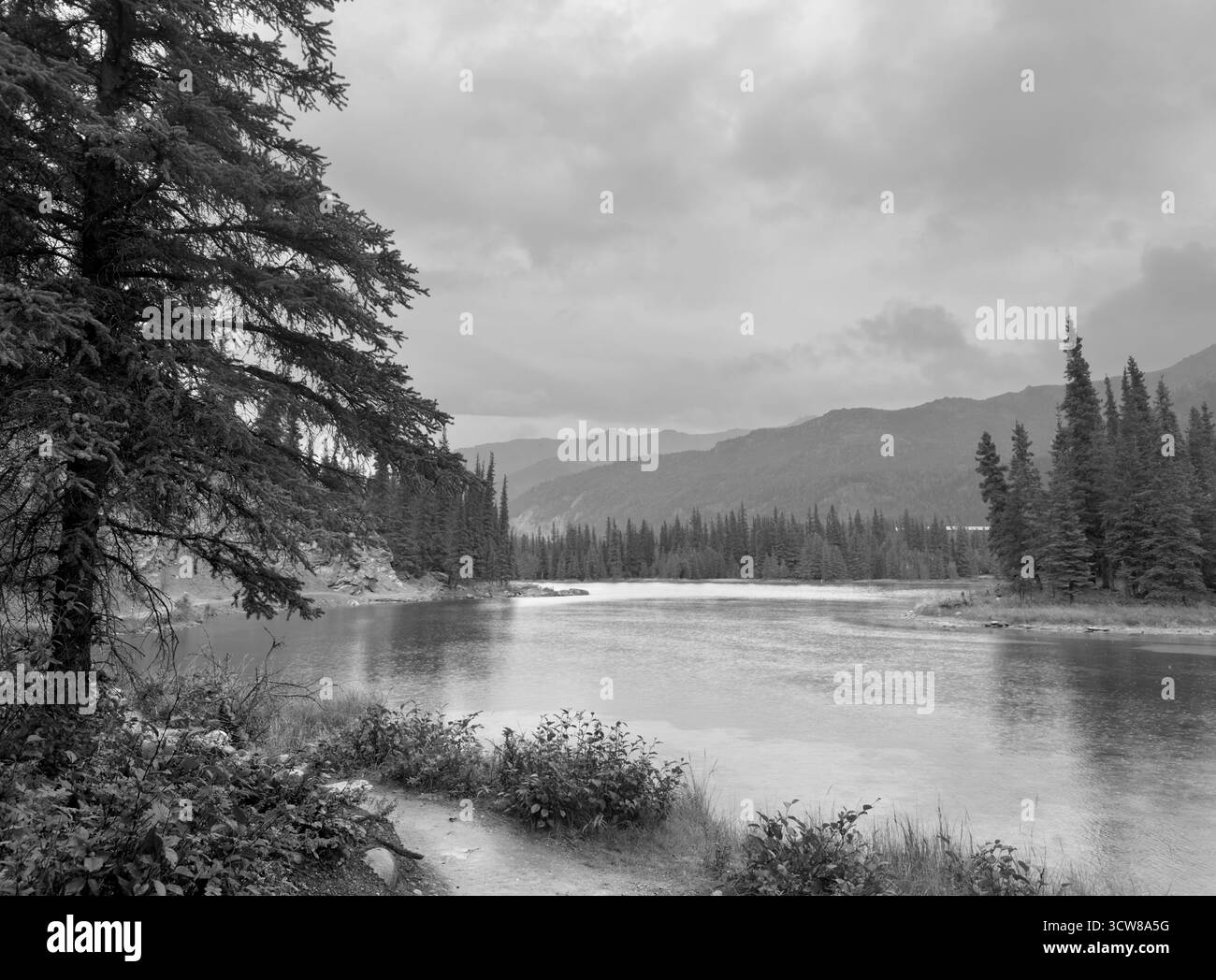Il ferro di cavallo Lago Trail, Parco Nazionale di Denali, Alaska, STATI UNITI D'AMERICA Foto Stock