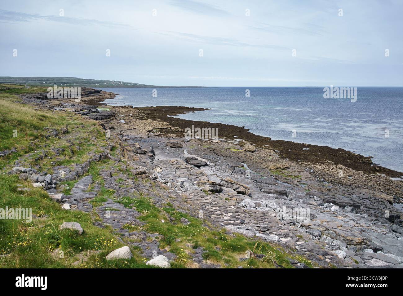 Paesaggio costiero in Irlanda caratterizzato da coste rocciose e oceano sotto un cielo nuvoloso. Foto Stock