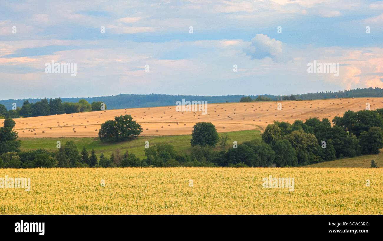 La foto cattura la calma e il calore della vita di campagna estiva, ideale per blog di viaggio, stampe naturali e temi agricoli. Foto Stock