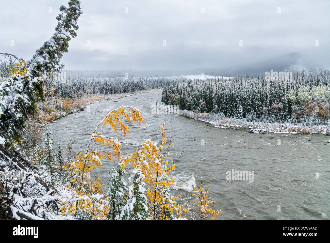 Nord America; Stati Uniti; Alaska Range Mountains; Denali National Park; Nenana River, prima neve Foto Stock
