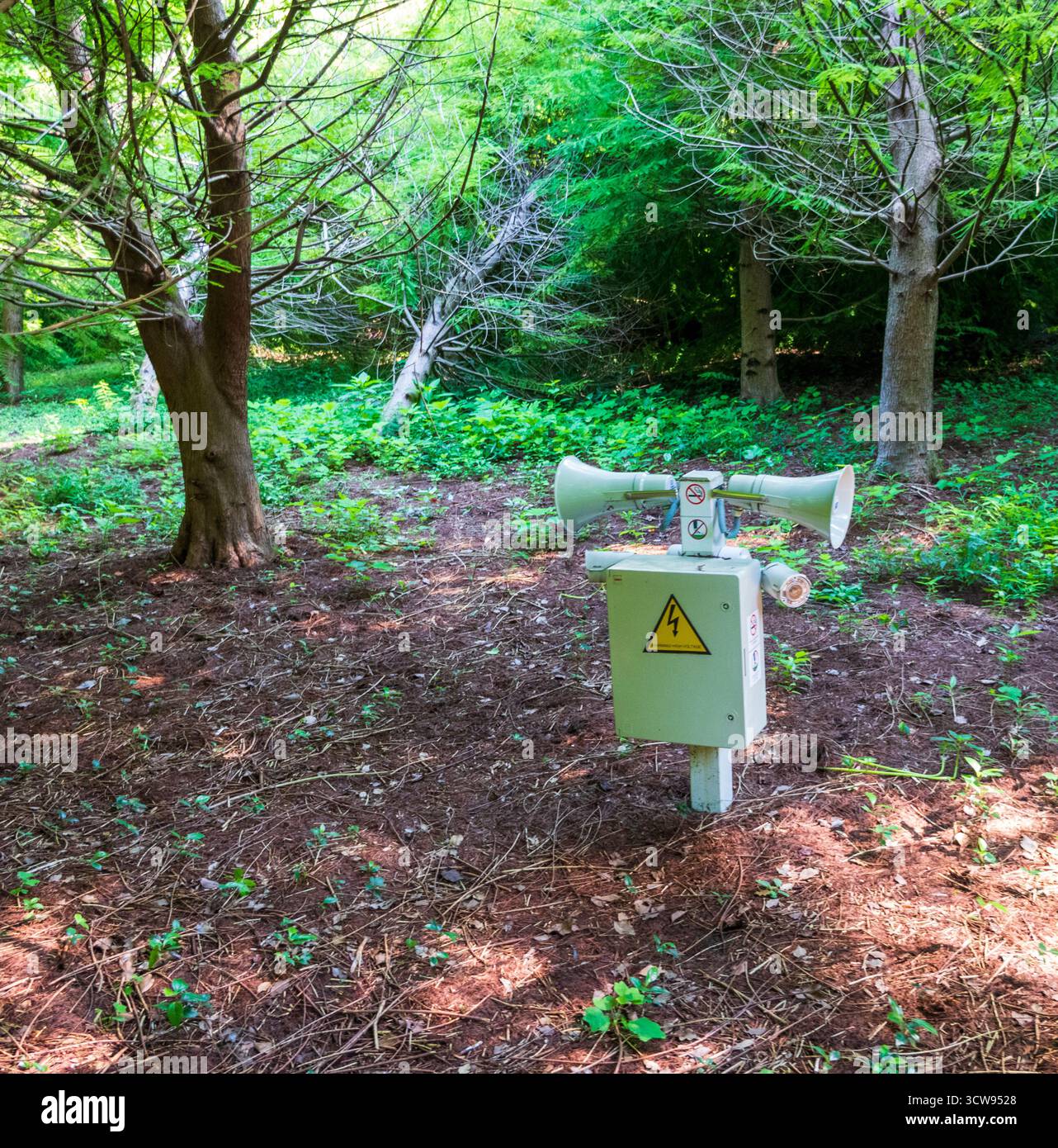 Altoparlante e telecamera CCTV installati nel parco Foto Stock
