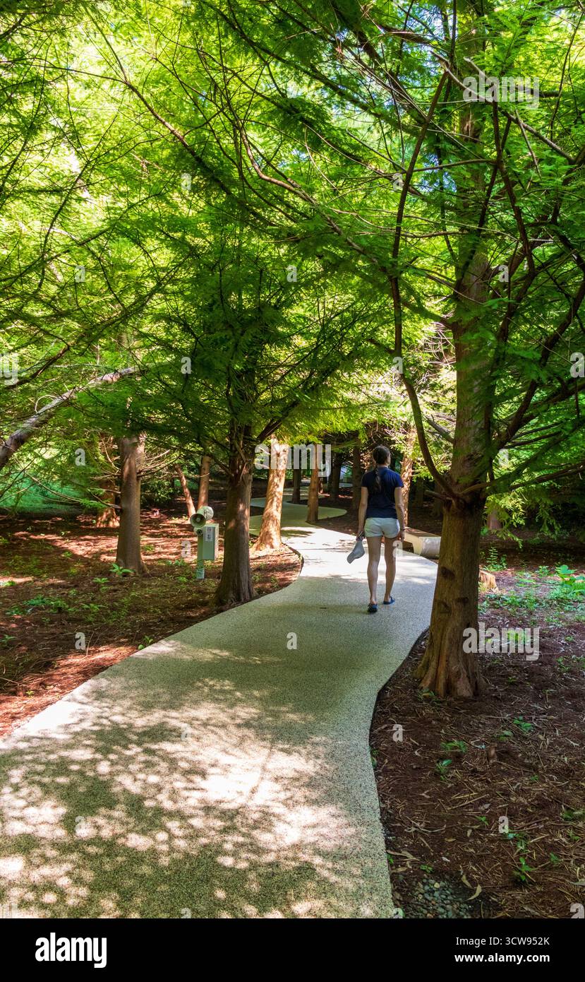 Un percorso pavimentato con piccoli ciottoli colorati Foto Stock