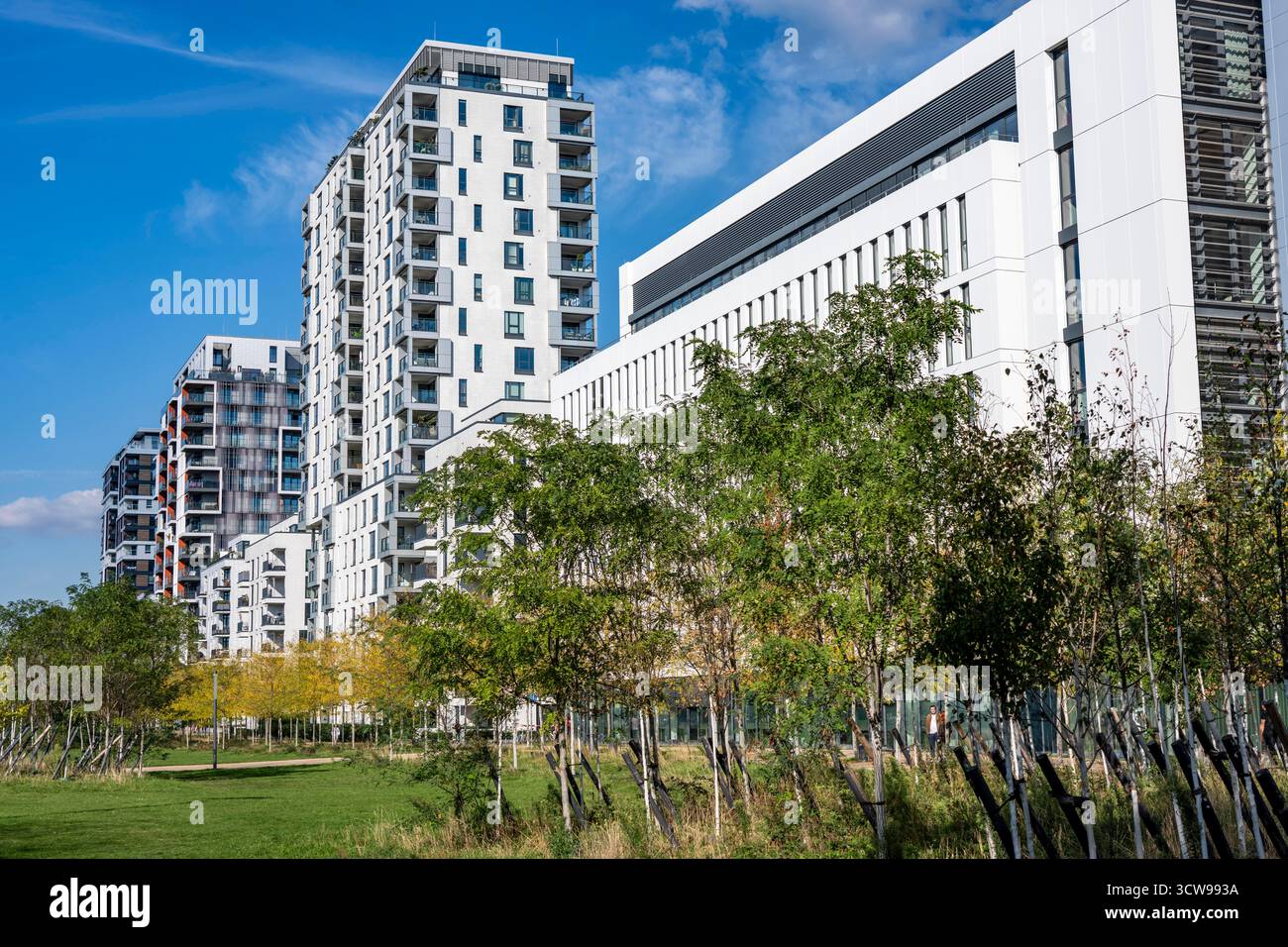 Moderno quartiere residenziale lungo Toulouser Allee, grattacieli con appartamenti e uffici, su ex terreni ferroviari, Renania settentrionale-Vestfalia, Foto Stock