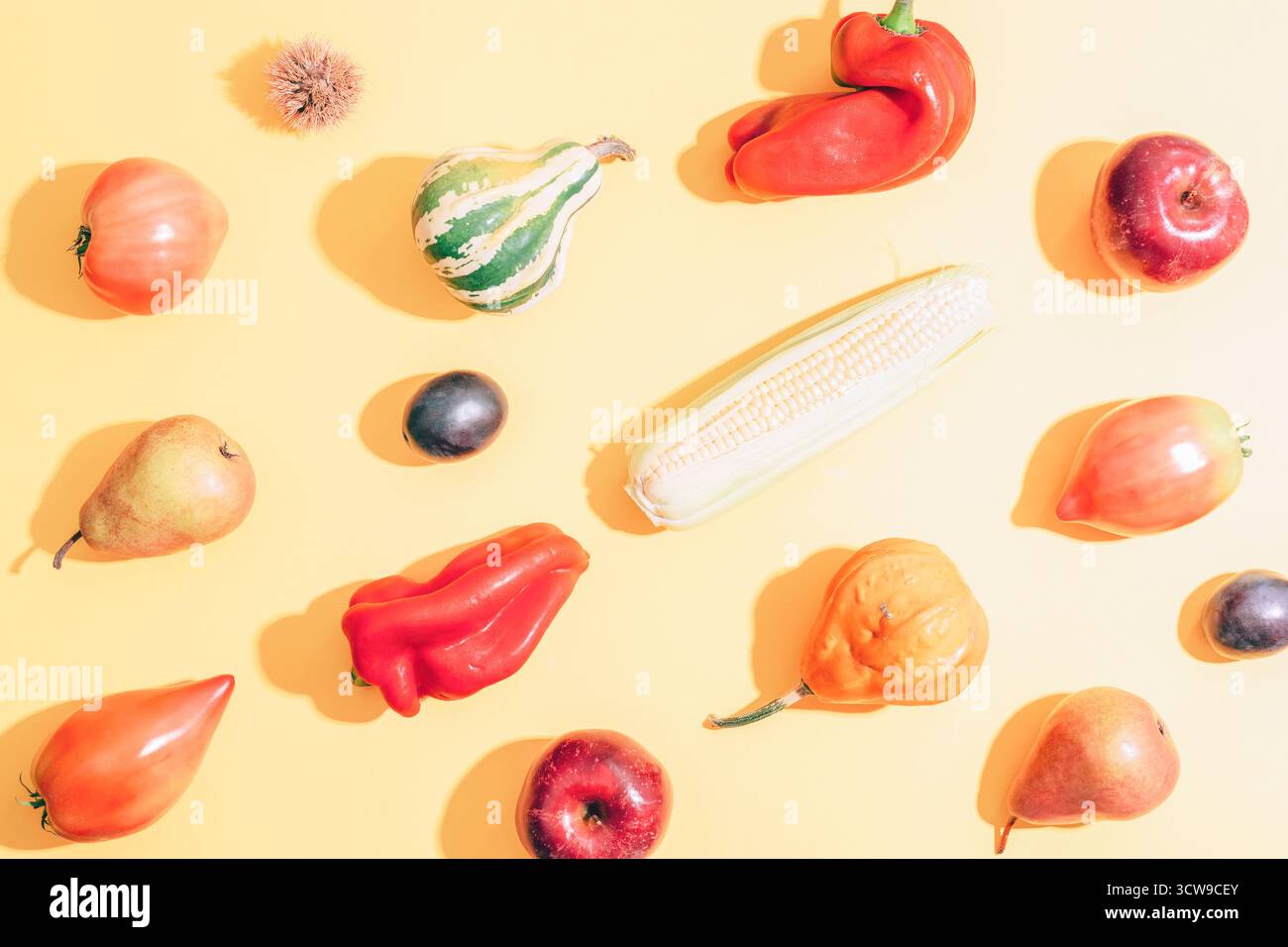 Verdure diverse su sfondo giallo chiaro con ombre. Zucche, mais, peperoni, pomodori, pere e mele come concetto di raccolta autunnale. Superiore Foto Stock