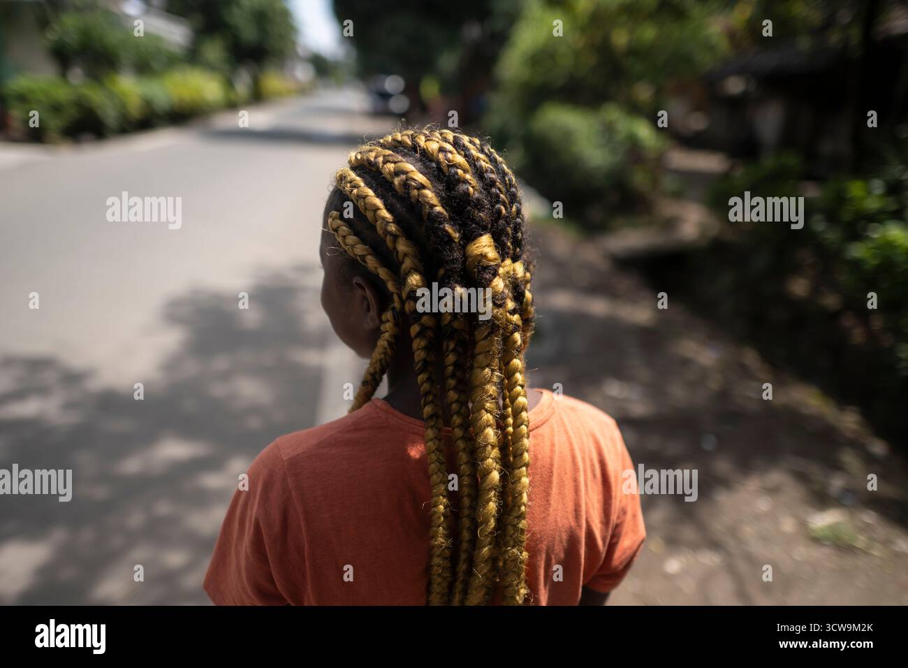 Dettaglio ravvicinato di una acconciatura intrecciata di una donna malgascia su Île Sainte-Marie (Nosy Boraha), Madagascar. L'intreccio e' sia un'espressione personale che un cu Foto Stock