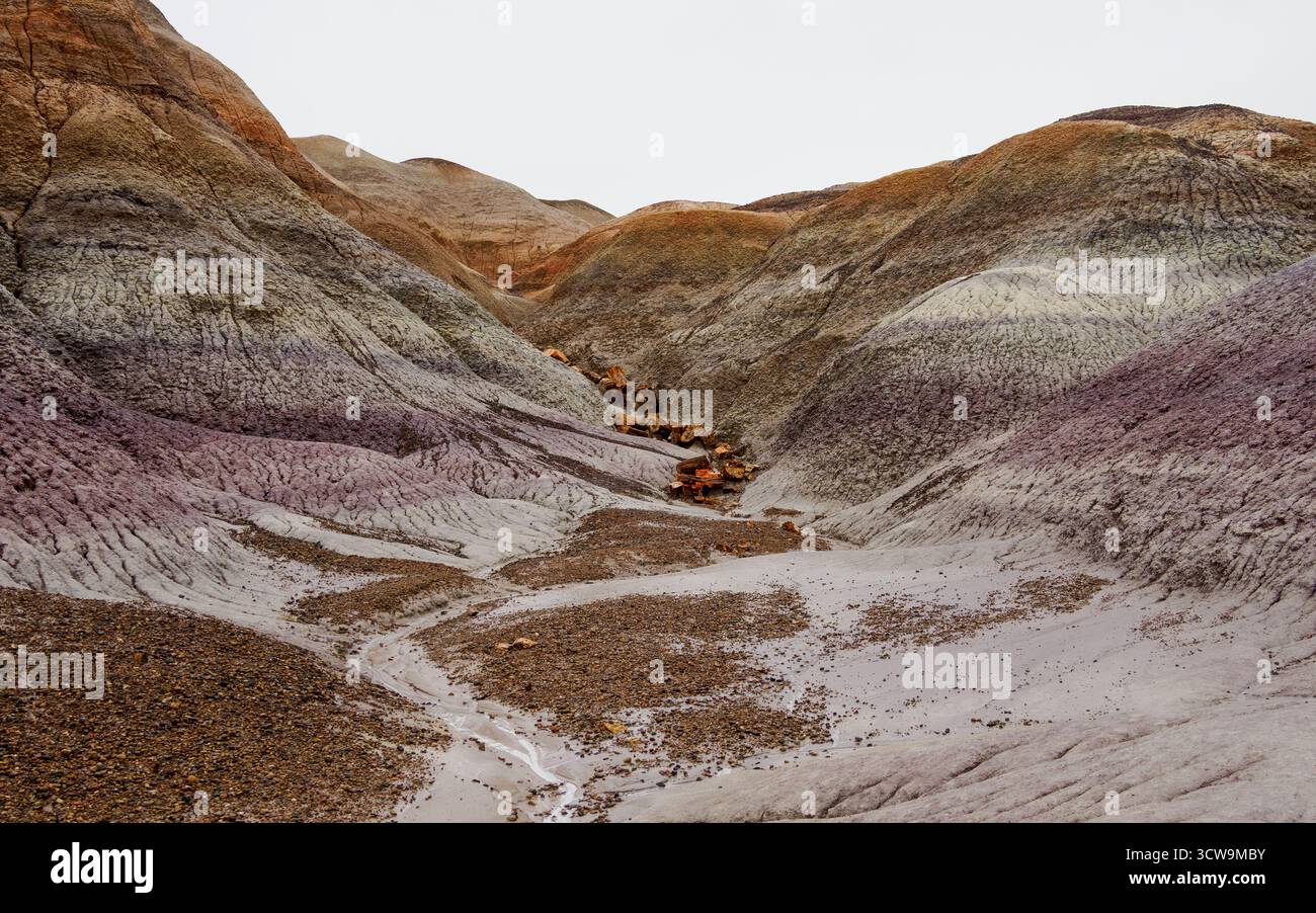Legno pietrificato, Blue Mesa, Petrified Forest National Park, Arizona, Stati Uniti Foto Stock