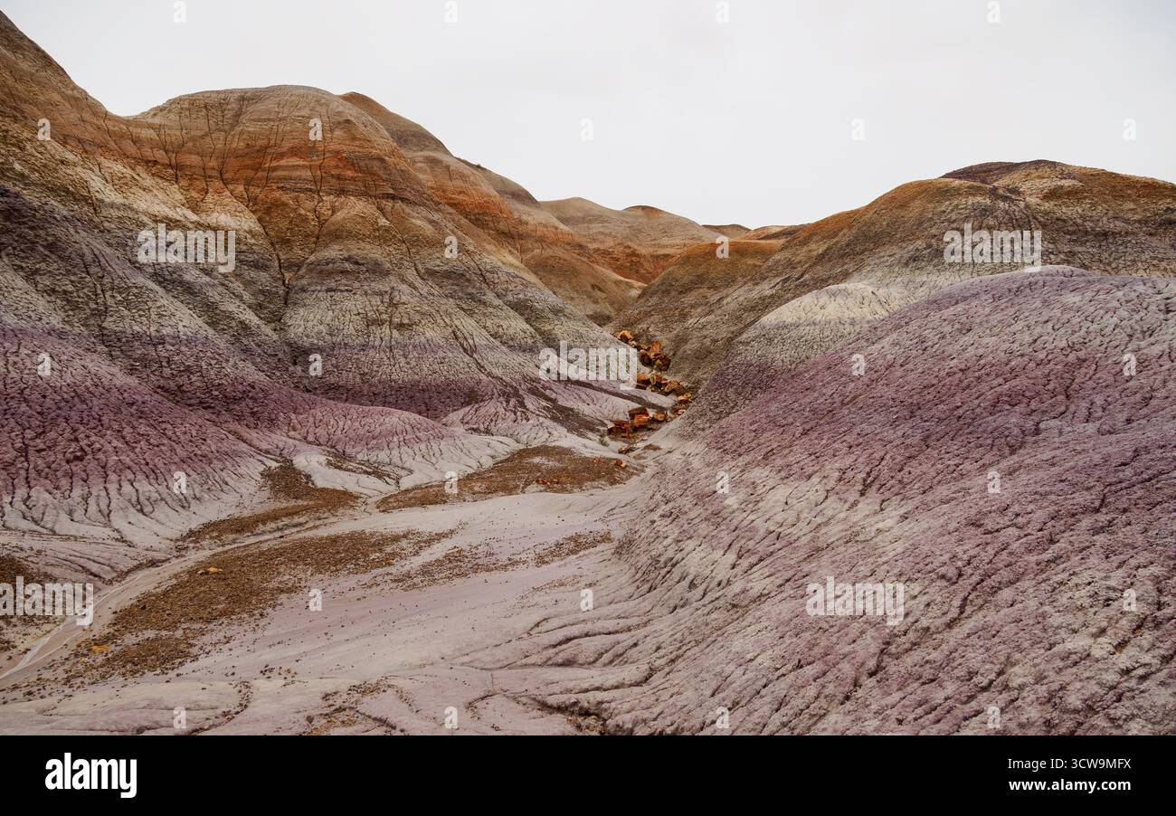 Legno pietrificato, Blue Mesa, Petrified Forest National Park, Arizona, Stati Uniti Foto Stock