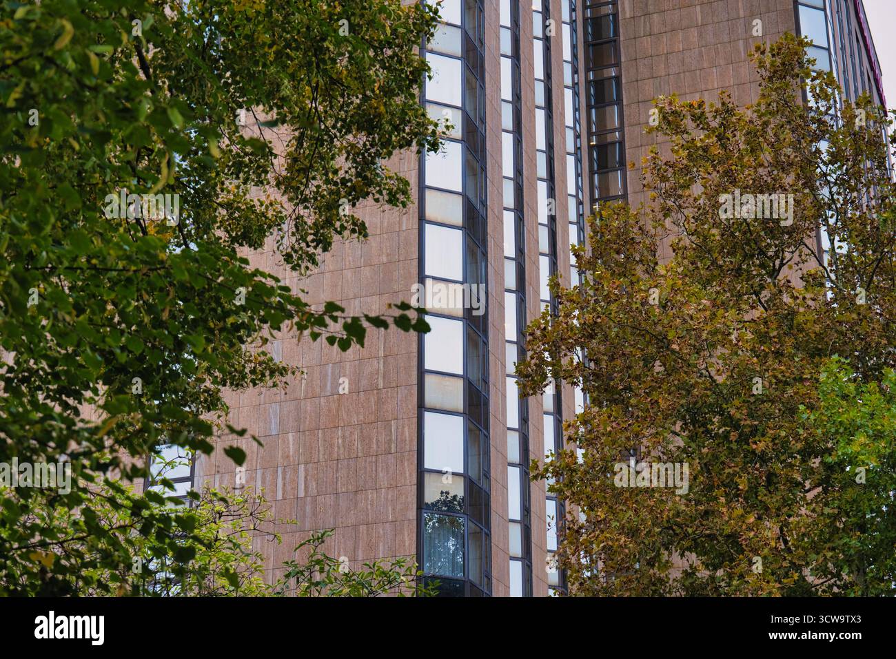 Alto e moderno edificio dietro alberi verdi, architettura urbana con finestre in vetro nel centro città, contrasto naturale e architettonico in autunno Foto Stock