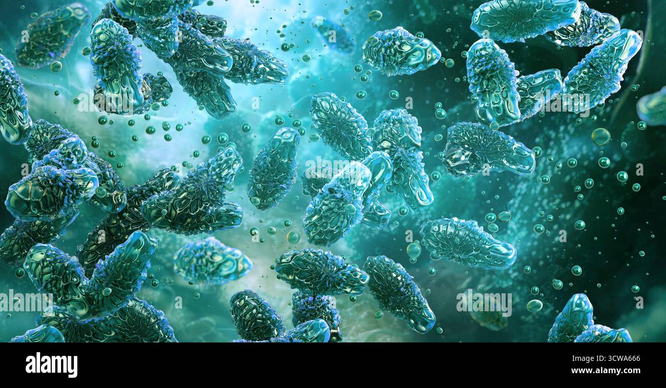 Illustrazione del Clostridium botulinum, il batterio responsabile del botulismo. Le cellule batteriche a forma di asta hanno la flagella. Questo microrganismo patogeno è noto per la produzione di una delle tossine biologiche più potenti. Foto Stock