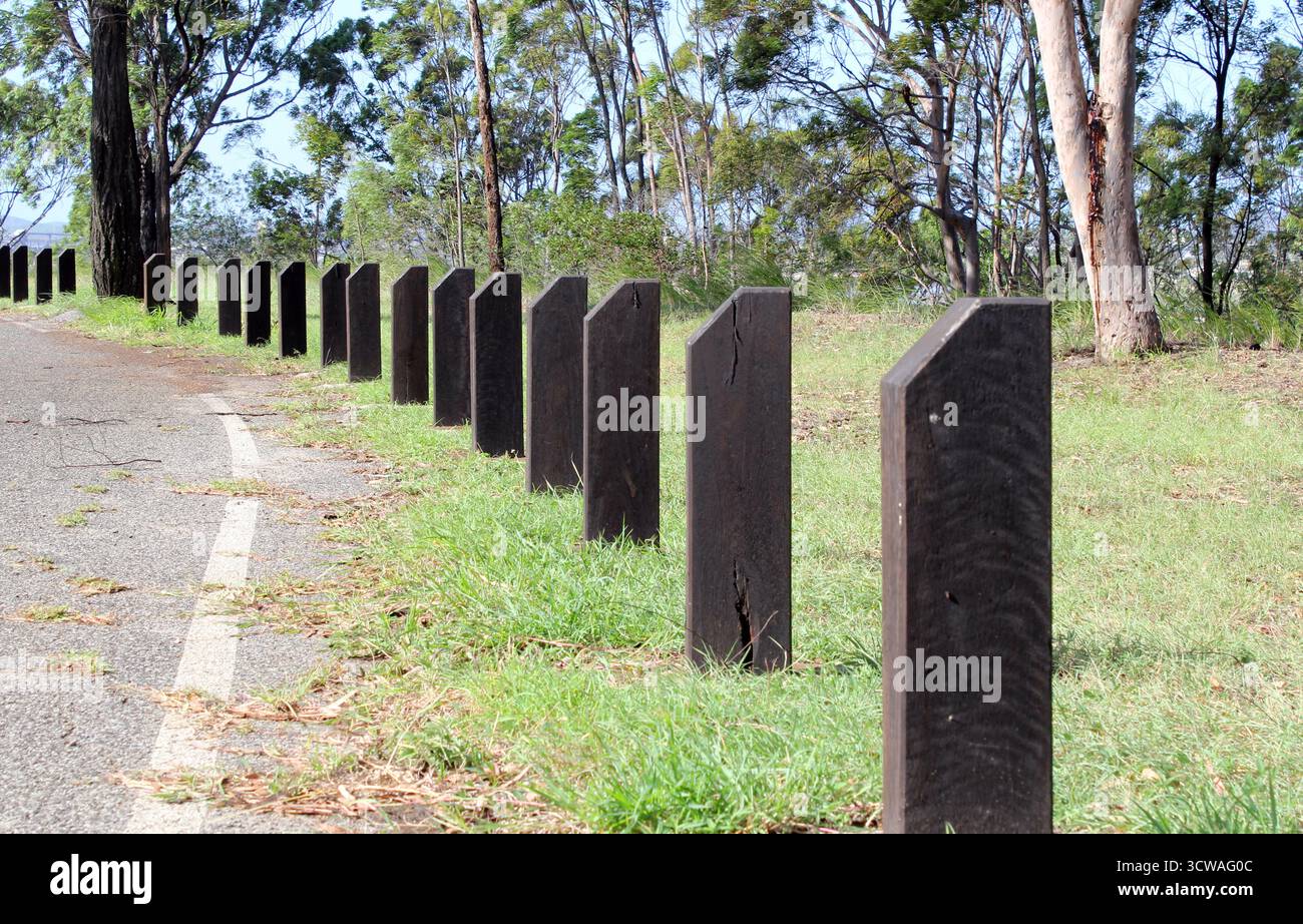 Pali di legno pali di sicurezza che fungono da barriera tra una strada e l'erba con alberi sullo sfondo Foto Stock