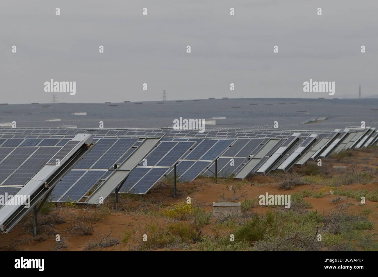 Zhongwei, Cina. 5 ottobre 2025. Migliaia di pannelli solari sono installati in un tratto di deserto. La provincia cinese occidentale di Ningxia si è da tempo affidata all'energia eolica e solare per favorire la crescita della regione. Titolo: Impianti solari nella Cina occidentale. Credito: Johannes Neudecker/dpa/Alamy Live News Foto Stock