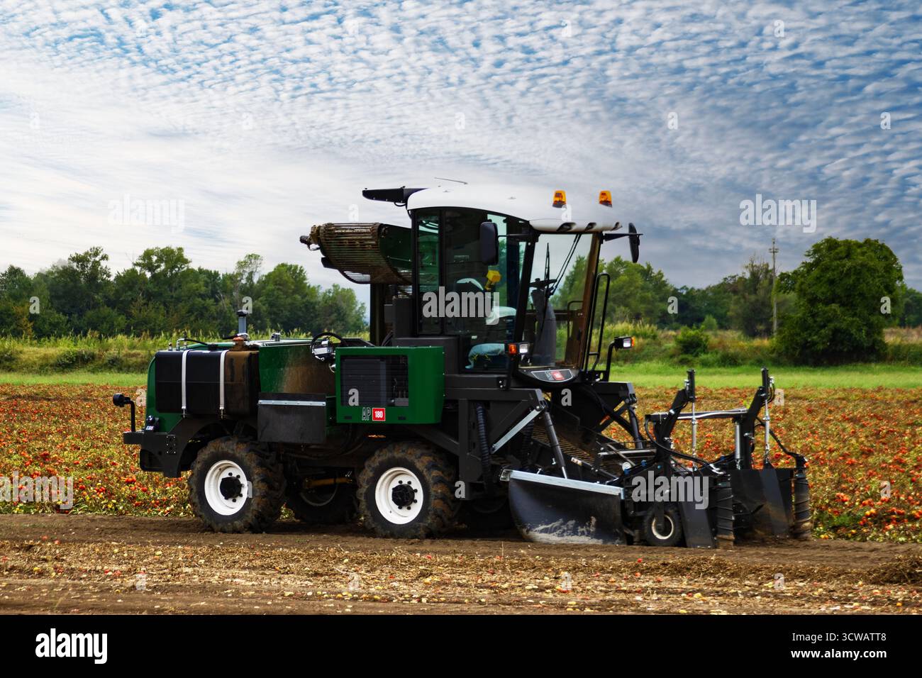 Tecnologia avanzata nel settore agricolo con una macchina professionale per la raccolta del prodotto. Foto Stock