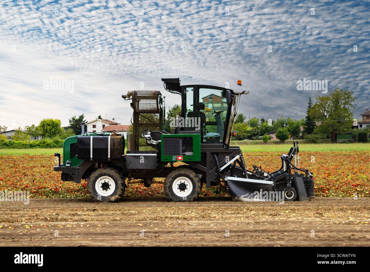 La moderna tecnologia dei macchinari per la coltivazione dei pomodori raccoglie le colture con un trattore classico. Foto Stock