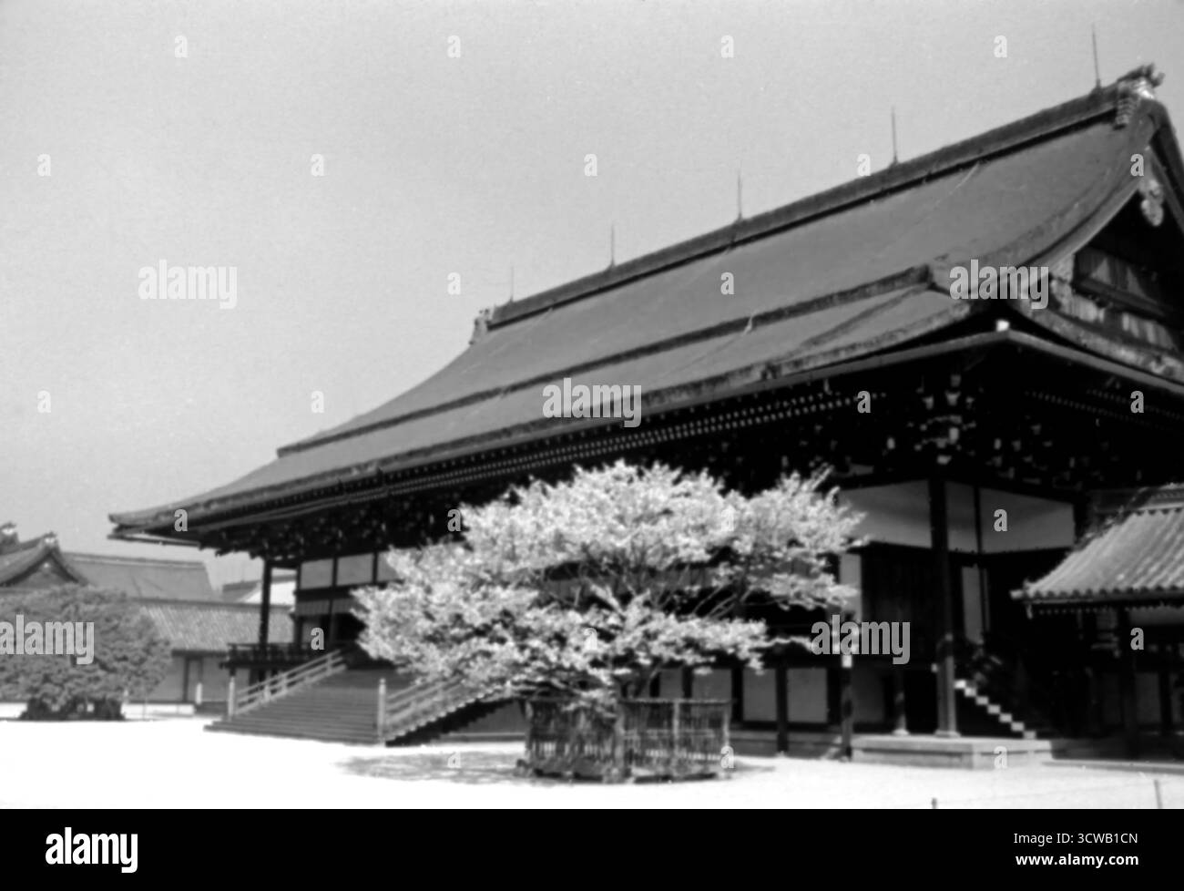 Foto d'epoca di Shishin-den nel Palazzo Imperiale di Kyoto, Giappone - 1956 Foto Stock