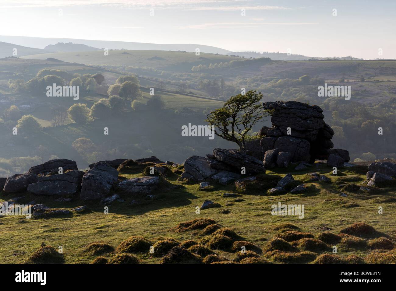 Holwell Tor; Dartmoor; Devon; Regno Unito Foto Stock