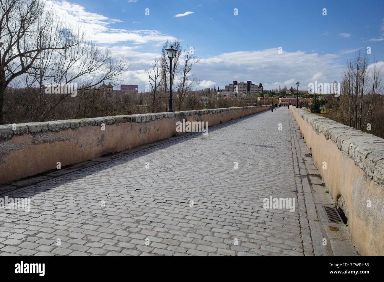 Salamanca, Spagna - 4 marzo 2025: Puente Romano (ponte romano) sul fiume Tormes Foto Stock