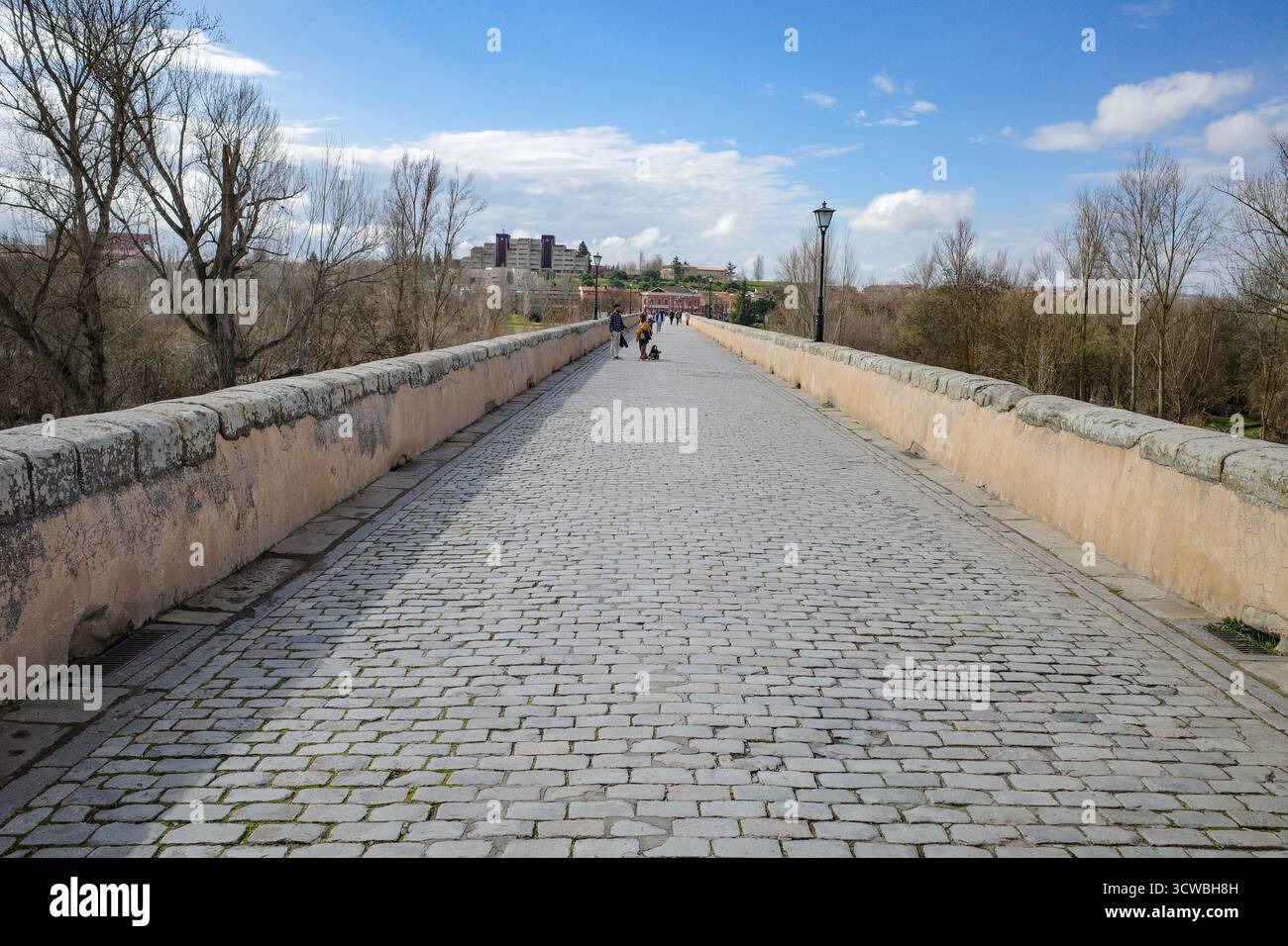 Salamanca, Spagna - 4 marzo 2025: Puente Romano (ponte romano) sul fiume Tormes Foto Stock