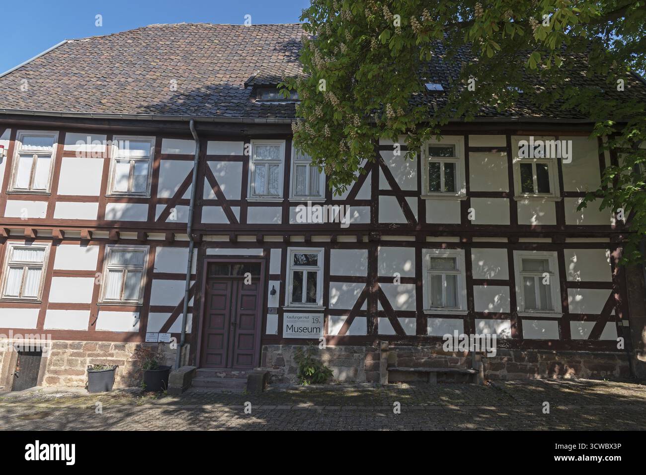 Kaufunger Hof, museo, campus universitario, Witzenhausen, piccola città, Assia, Germania Foto Stock