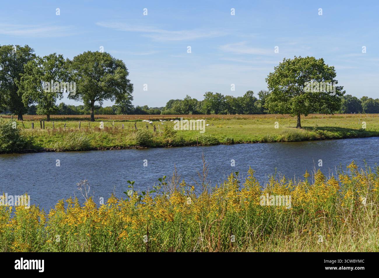 Tranquillo scenario rurale con fiume, prati e alberi, Haren, Emsland, Germania Foto Stock