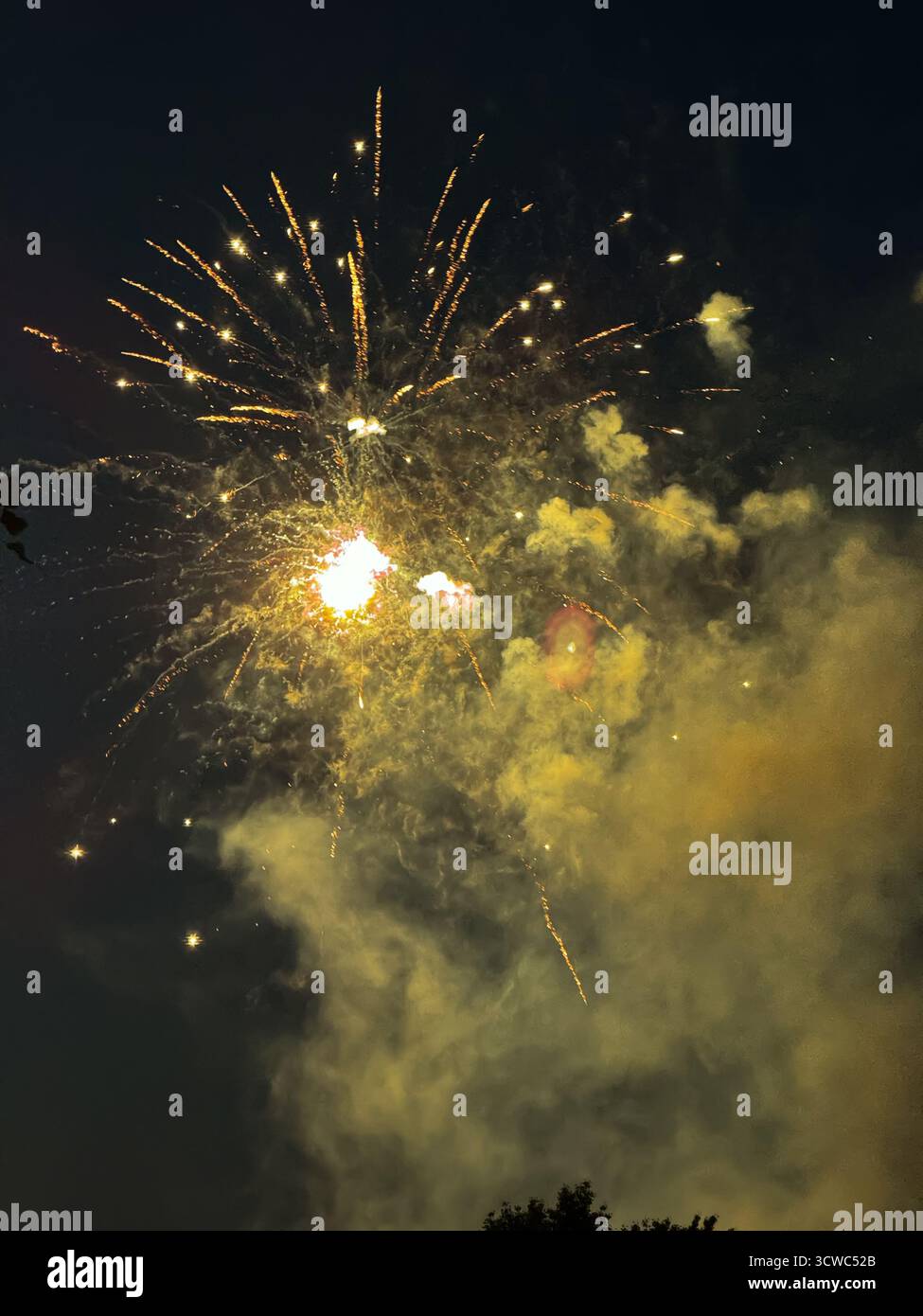 Spettacolo di fuochi d'artificio nel cielo notturno Foto Stock