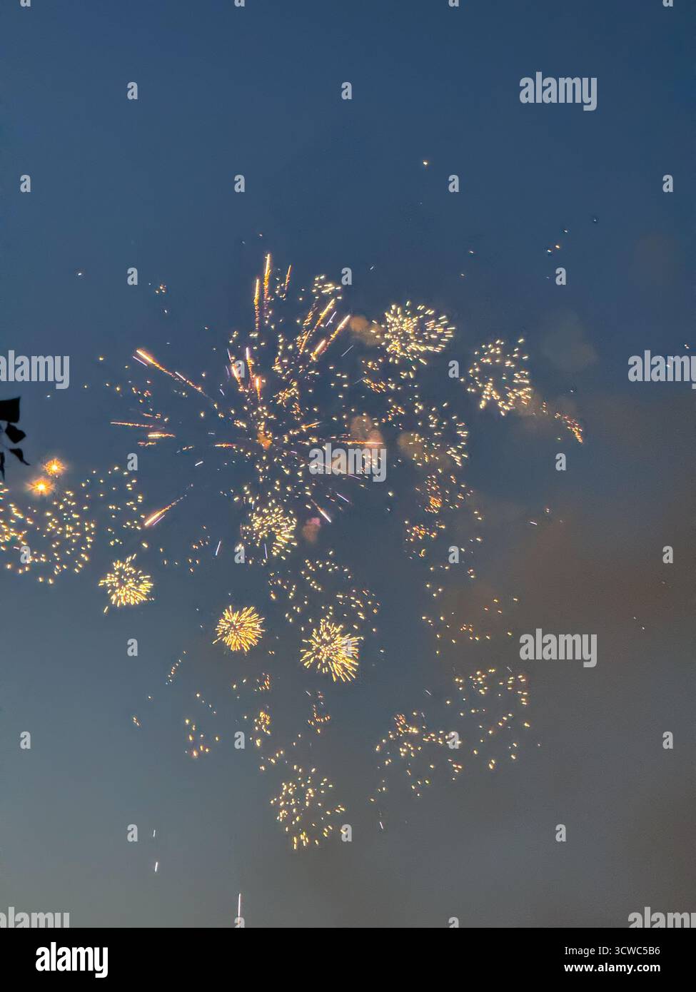 Spettacolo di fuochi d'artificio nel cielo notturno Foto Stock