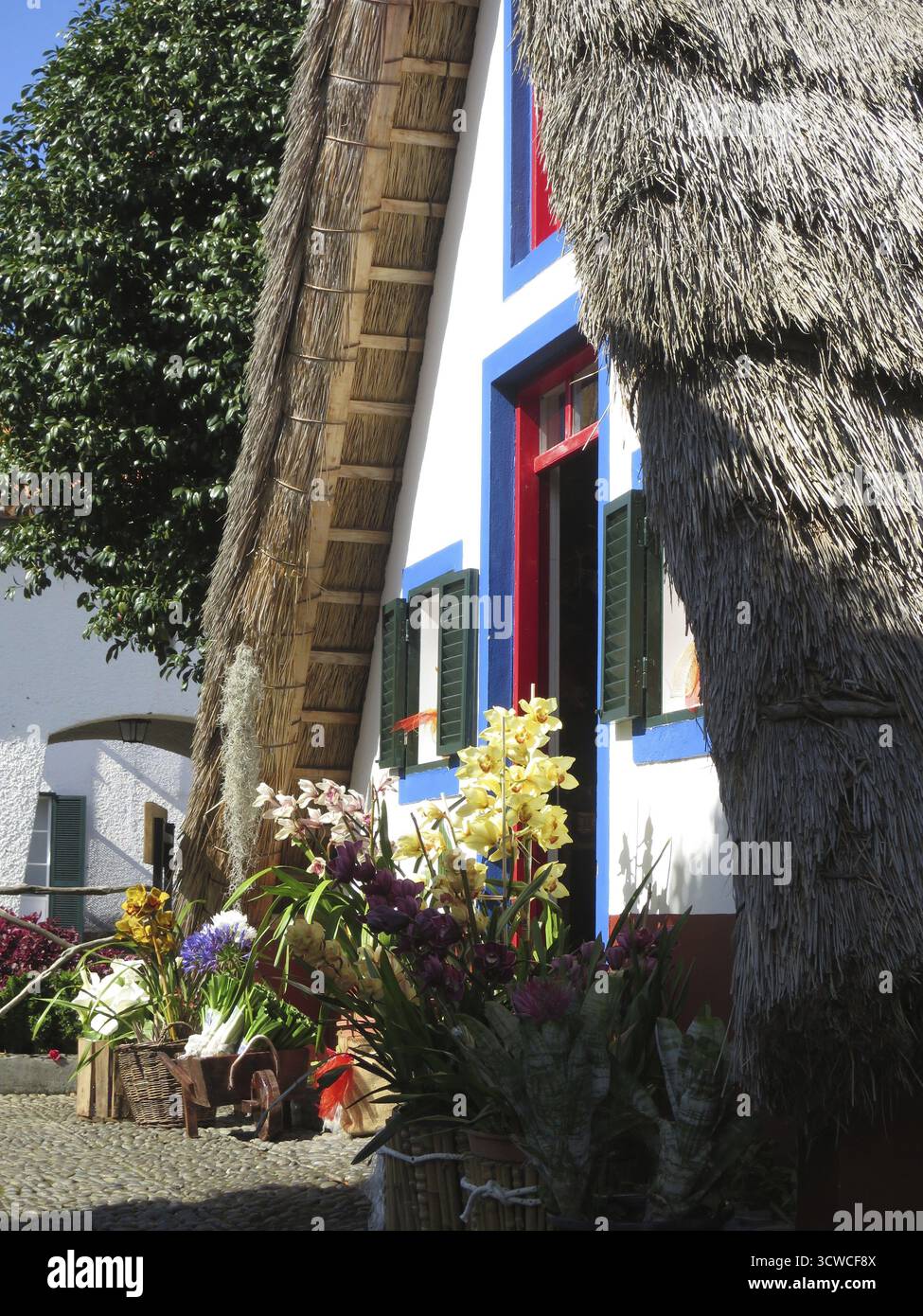Attrazioni turistiche Casas de Colmo, Santana, Madeira, Portogallo Foto Stock
