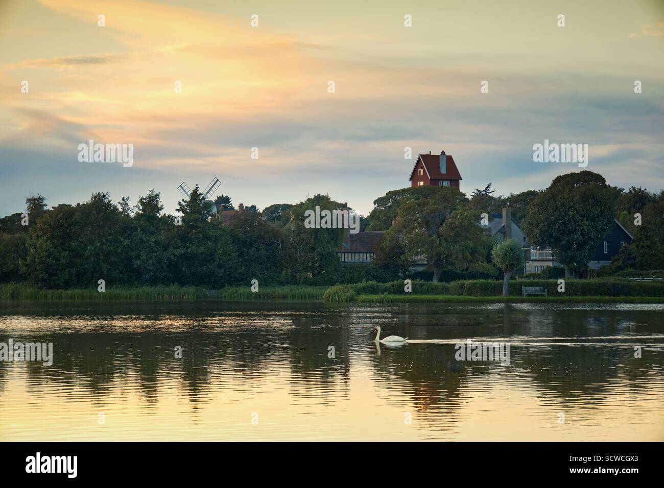 Thorpeness, Suffolk, Inghilterra, Regno Unito - Un cigno scivola con grazia sull'acqua del lago Meare al tramonto Foto Stock