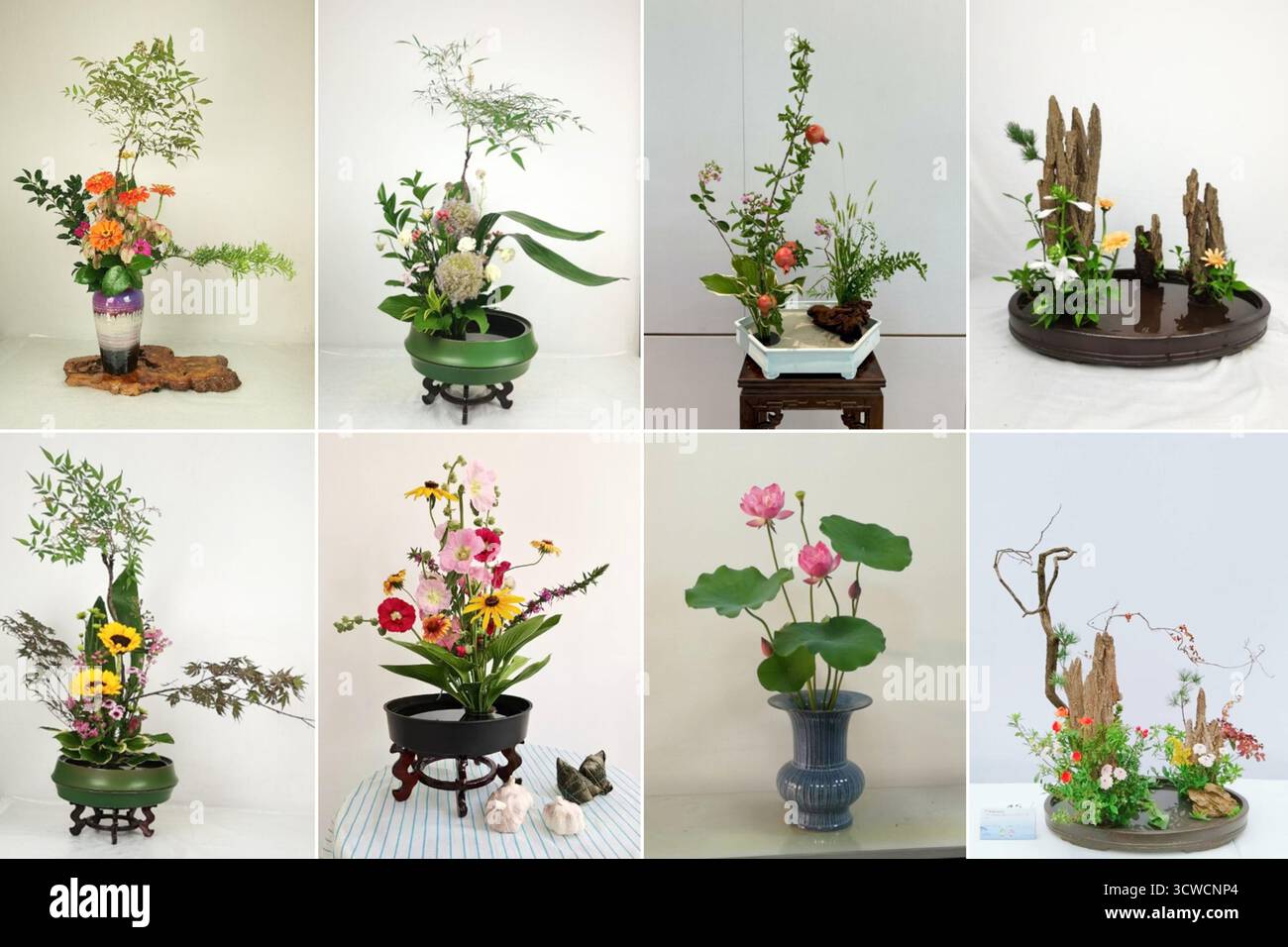 (251011) -- HEFEI, 11 ottobre 2025 (Xinhua) -- questa foto combinata fornita da fu Yulan mostra le sue opere d'arte di composizione floreale. Nella città di Hefei, un team dedicato all'eredità dell'arte floreale in stile Hui ha promosso lo sviluppo e lo scambio dell'arte in tutta la provincia. Fu Yulan, 81 anni, è l'iniziatore di questa squadra e una volta ha lavorato come insegnante presso l'Università agricola di Anhui prima del pensionamento. Aveva aiutato la scuola a offrire il corso di 'arte floreale' agli studenti nei primi anni. Inoltre, aveva tenuto mostre di composizioni floreali Foto Stock