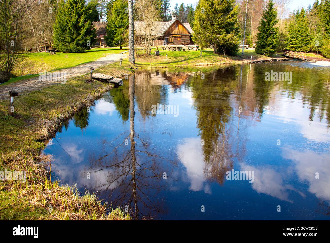 Tranquilla cabina in legno accanto ad un laghetto riflettente circondato da lussureggianti alberi sotto un cielo blu Foto Stock