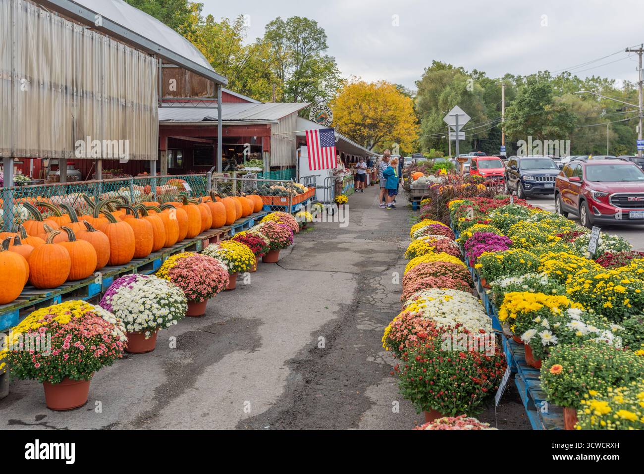 Joseph's Wayside Market. Napoli, New York. Zucche. Fiori autunnali. Foto Stock